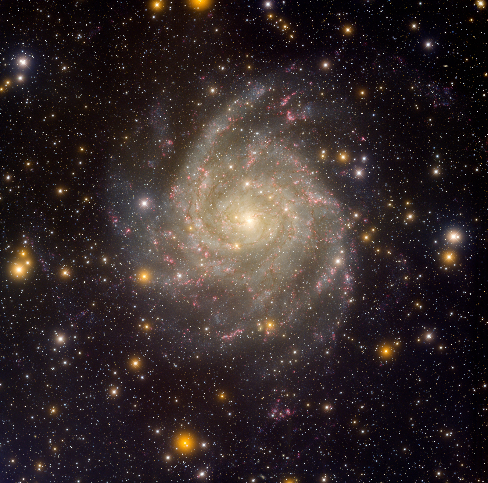 Hidden Galaxy IC 342