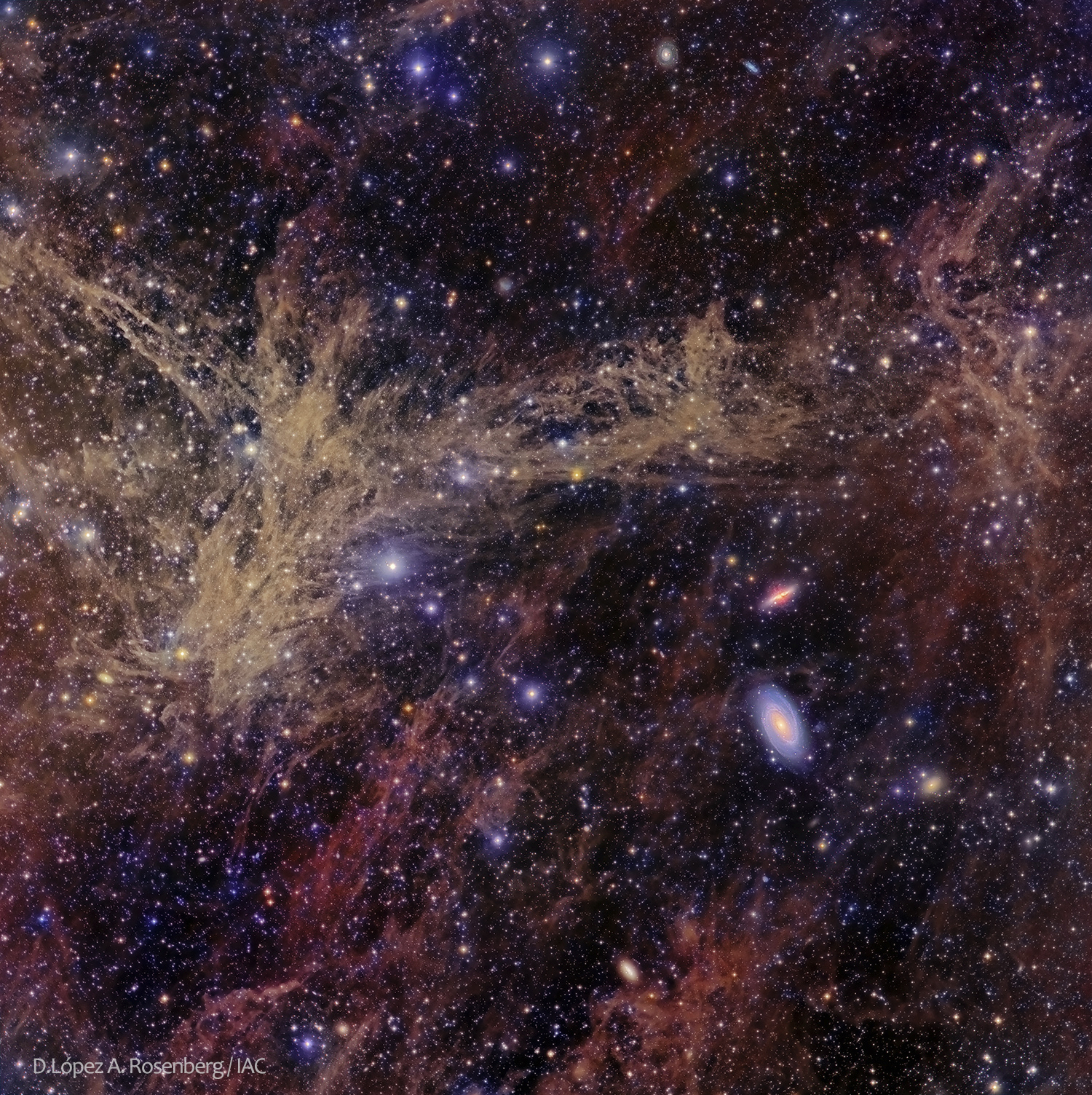The M81 Galaxy Group through the Integrated Flux Nebula