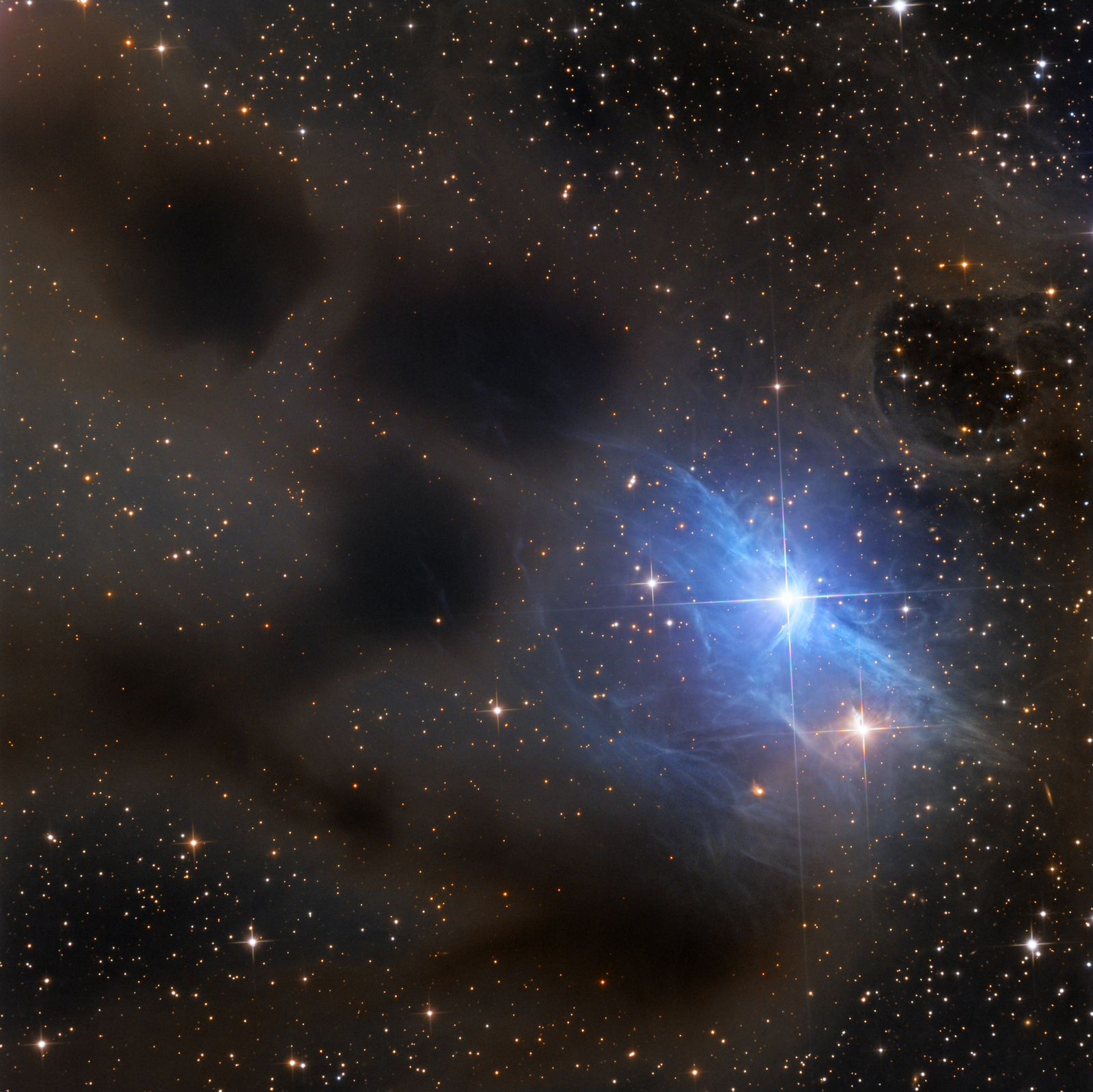 Reflections on vdB 31