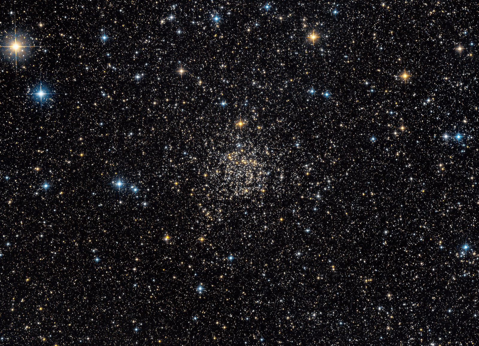 NGC 7789: Caroline's Rose