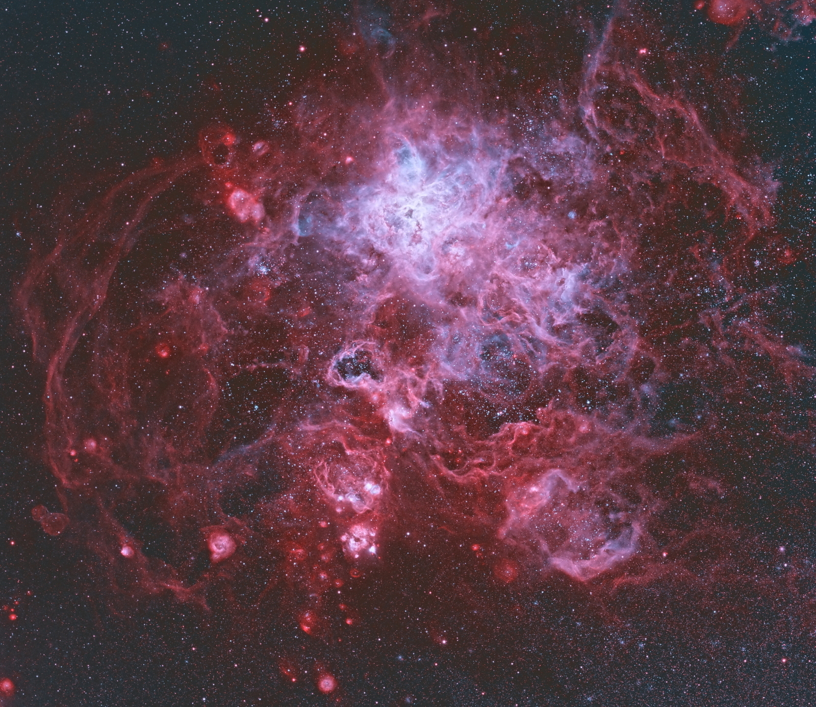 The Tarantula Nebula