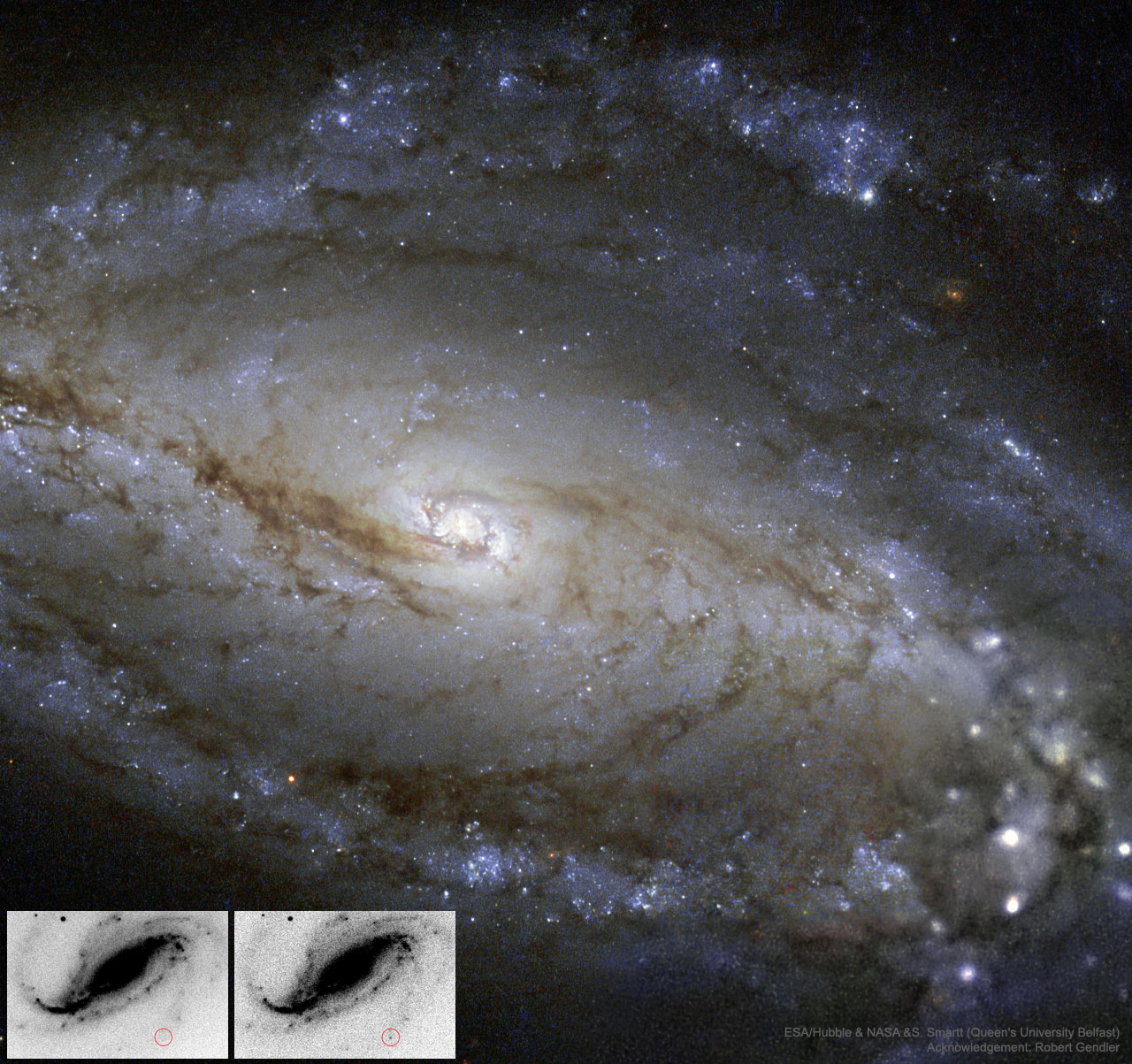 NGC 613 in Dust, Stars, and a Supernova