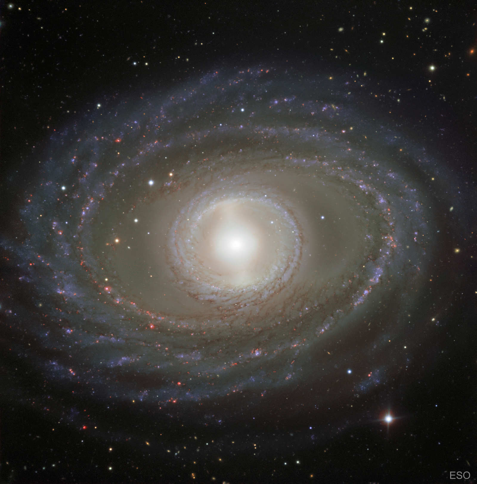 Ribbons and Pearls of Spiral Galaxy NGC 1398