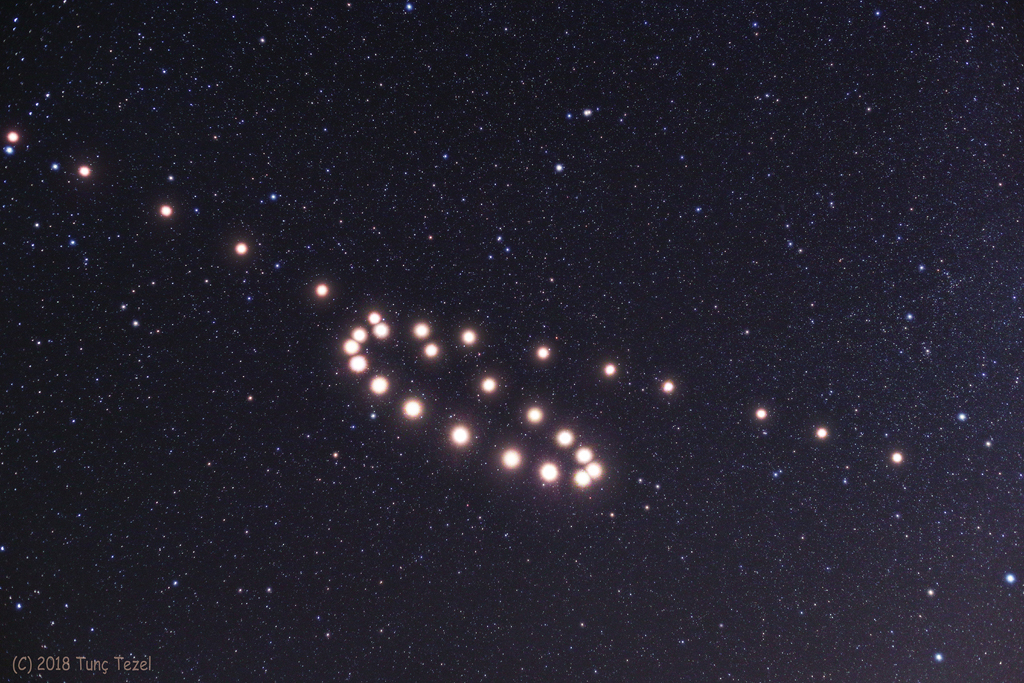 Mars in the Loop