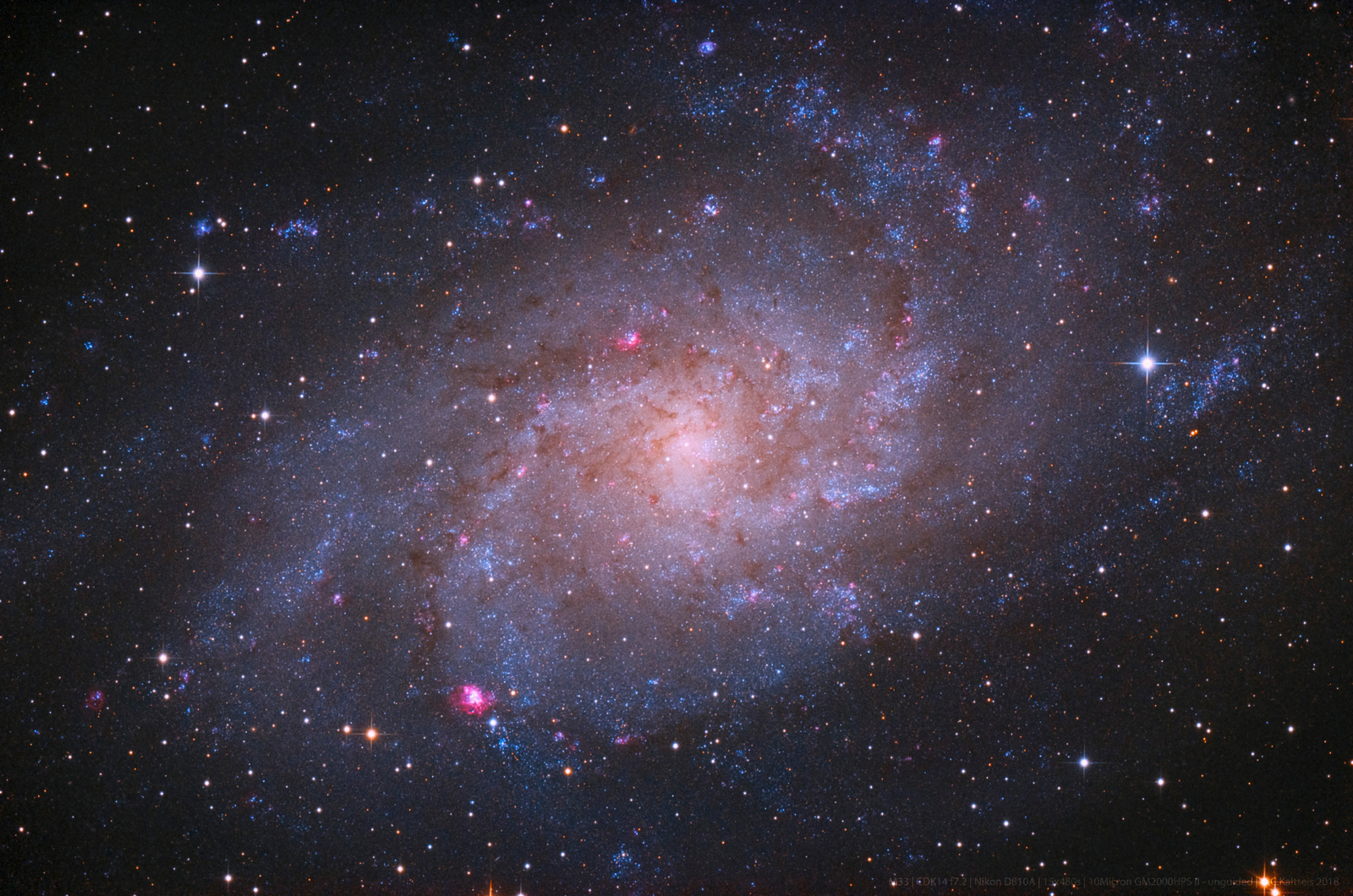 M33: Triangulum Galaxy