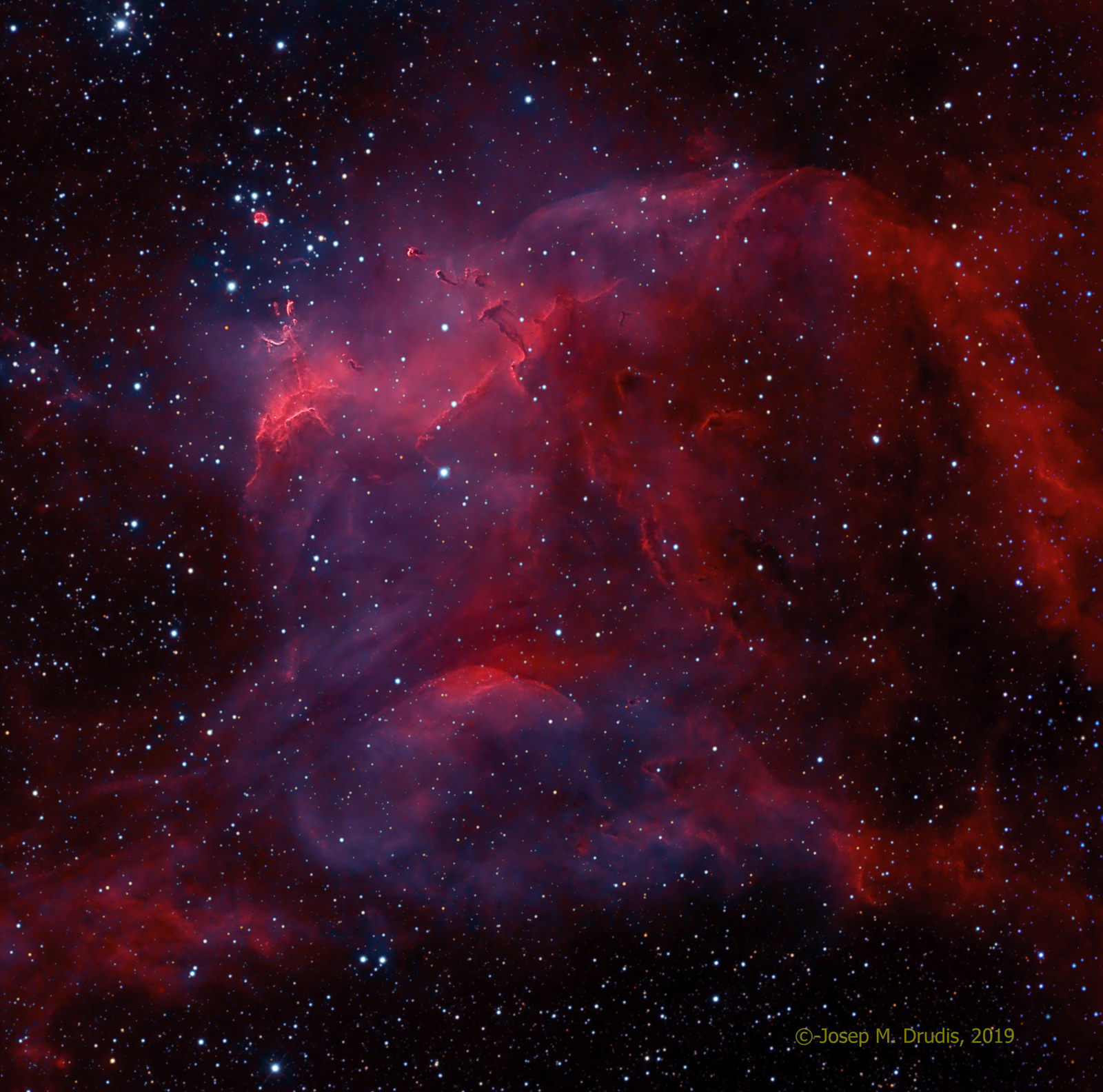NGC 3572 and the Southern Tadpoles