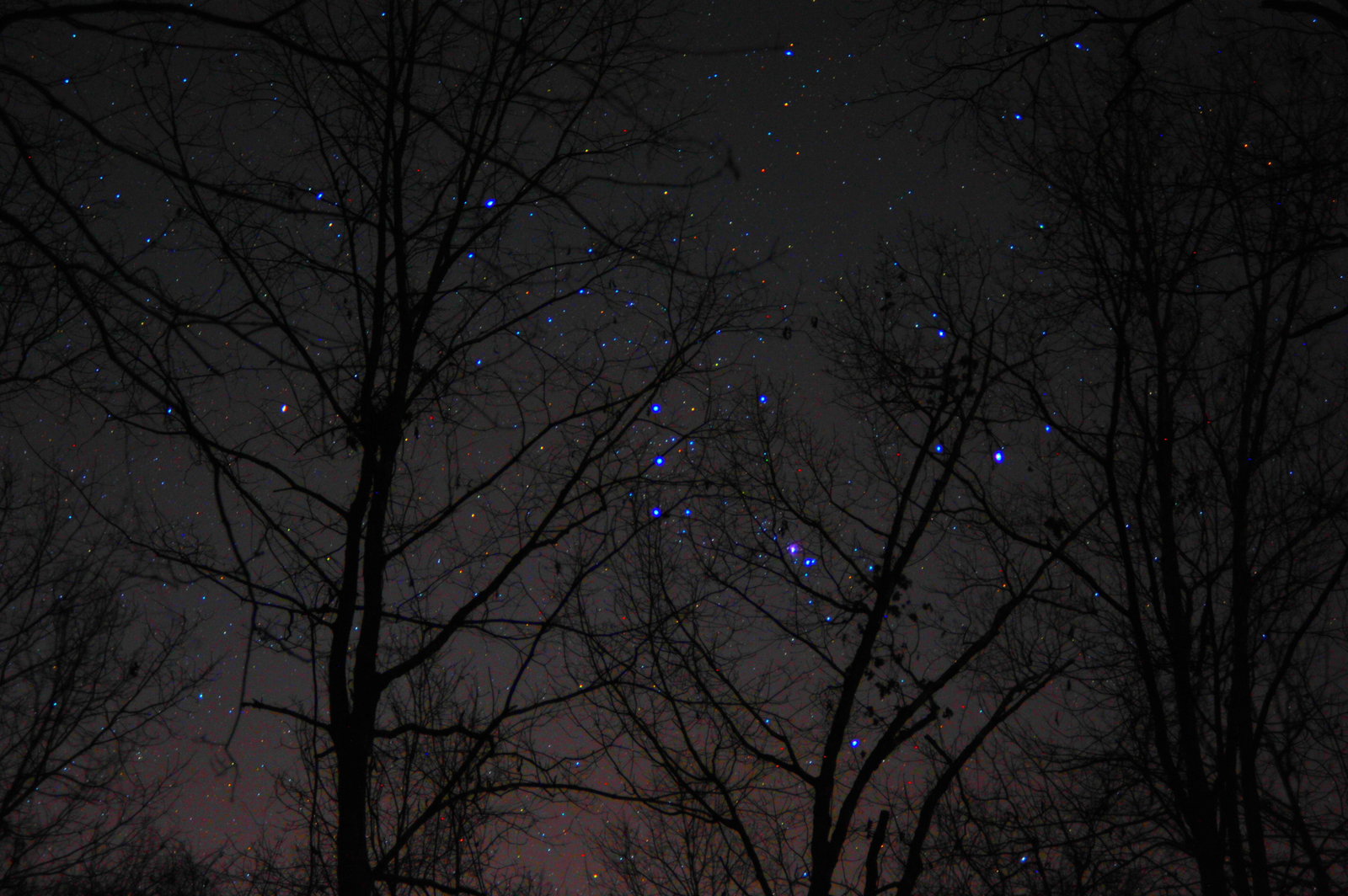 The Fainting of Betelgeuse
