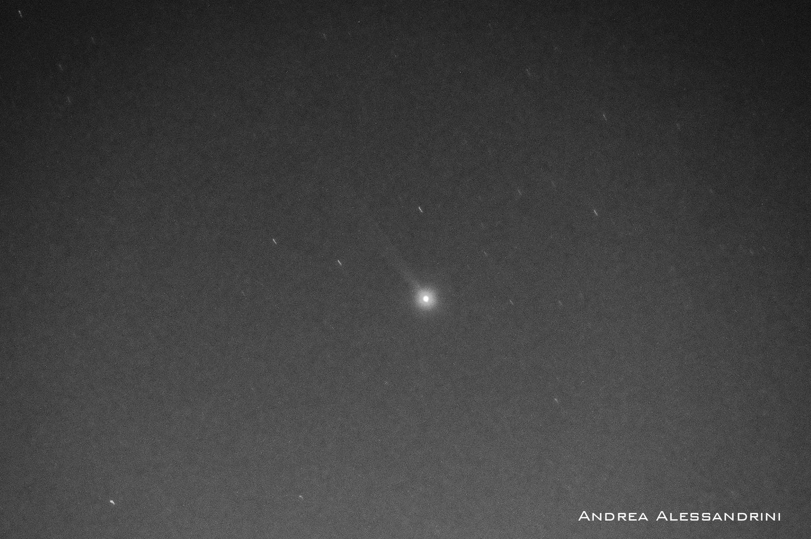 Mercury's Sodium Tail