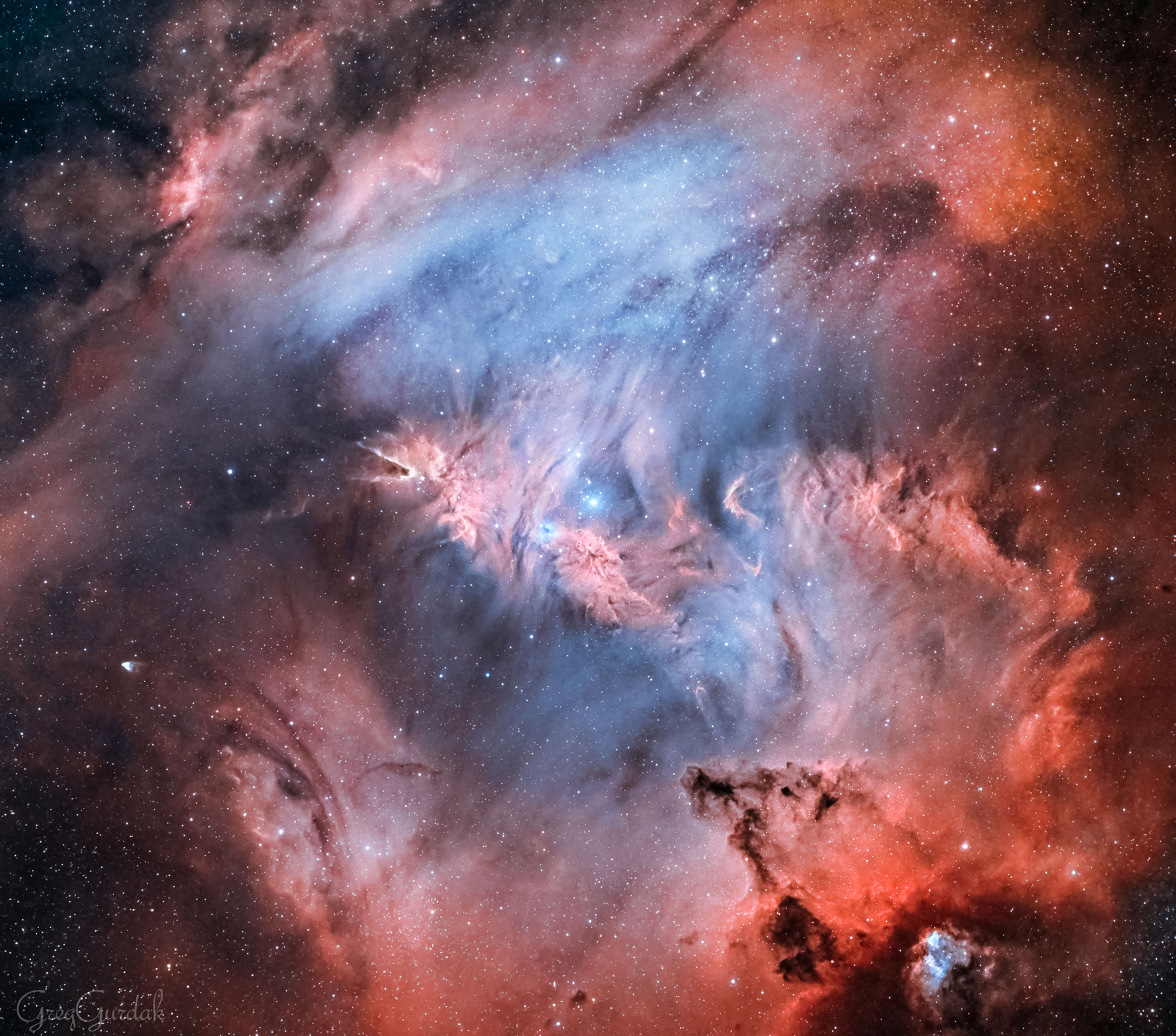 Wide Field: Fox Fur, Unicorn, and Christmas Tree
