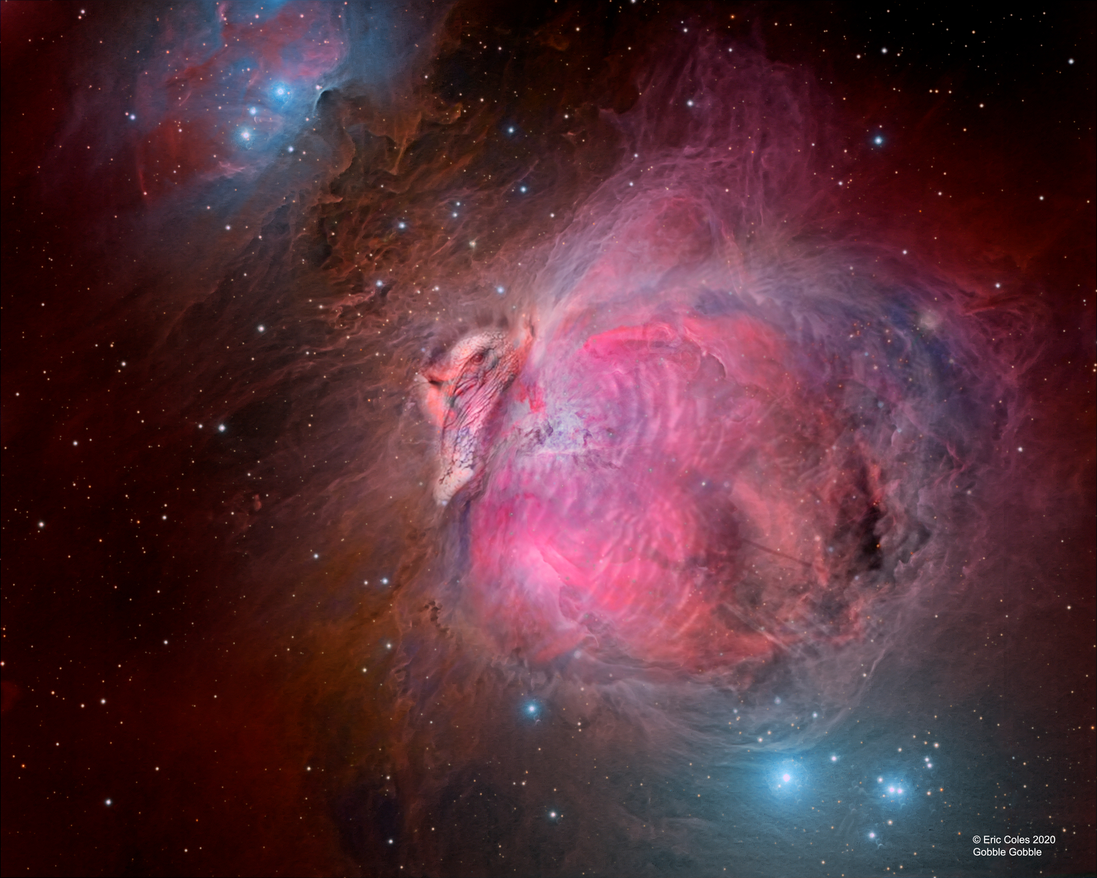 The Great Turkey Nebula