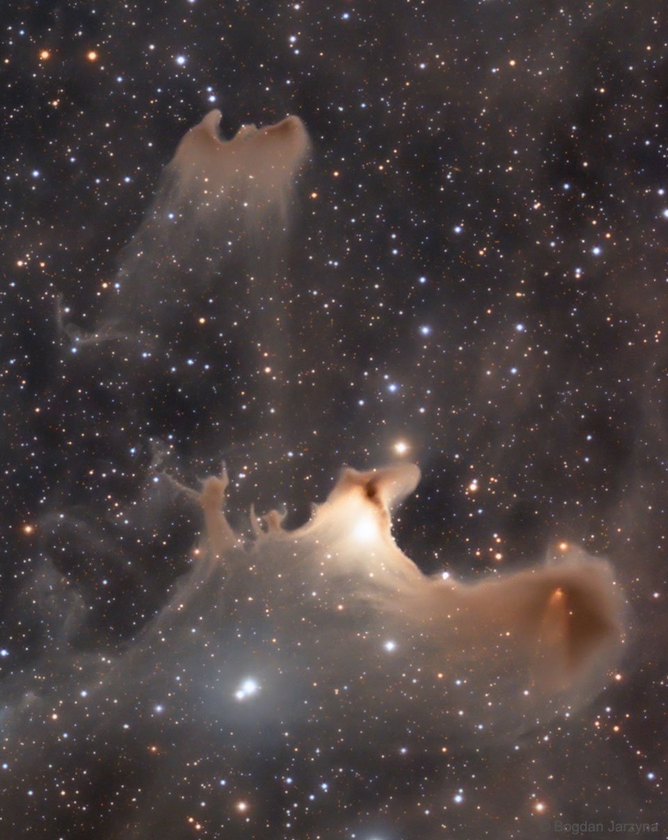 Reflections of the Ghost Nebula