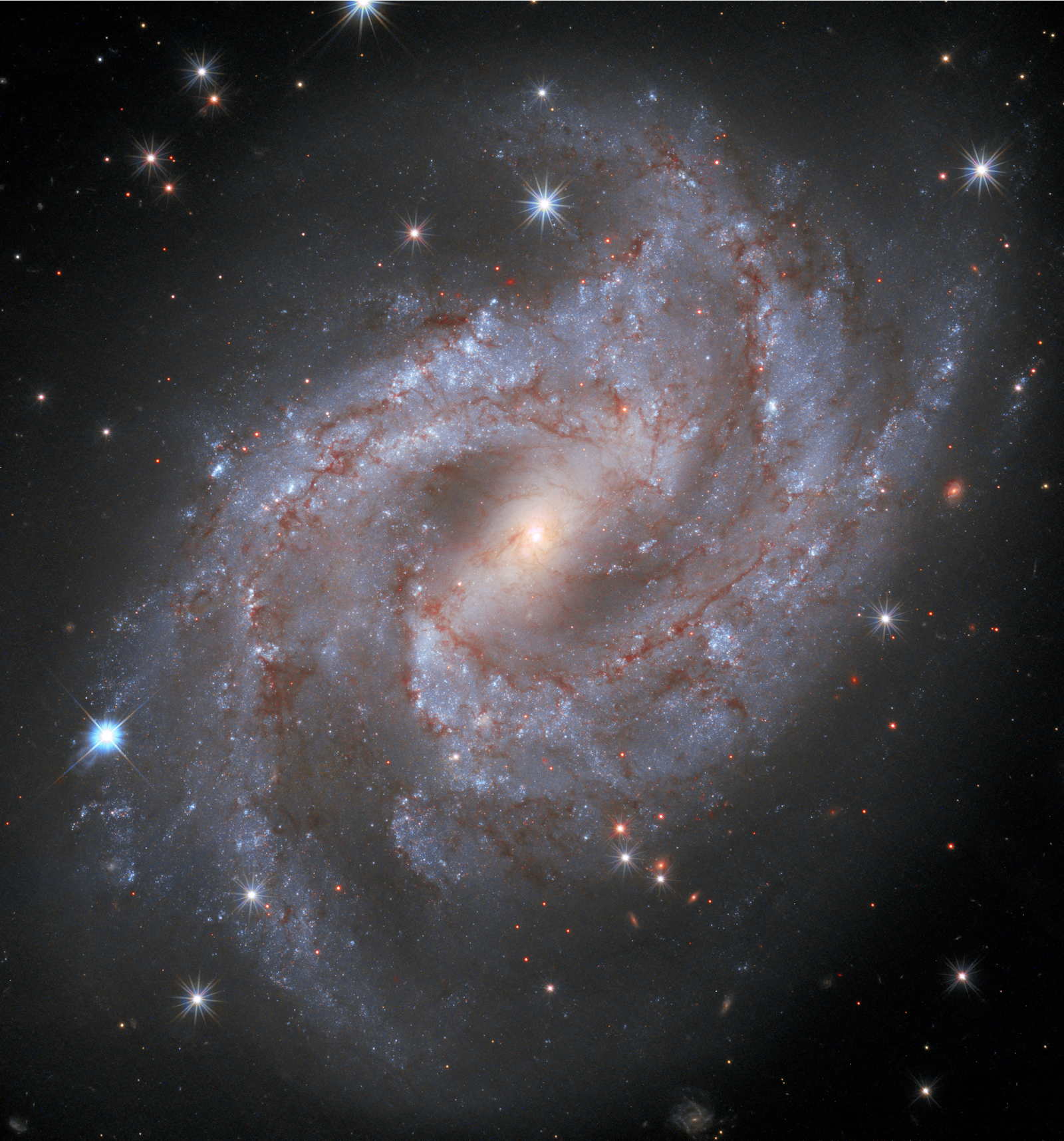 Supernova in NGC 2525