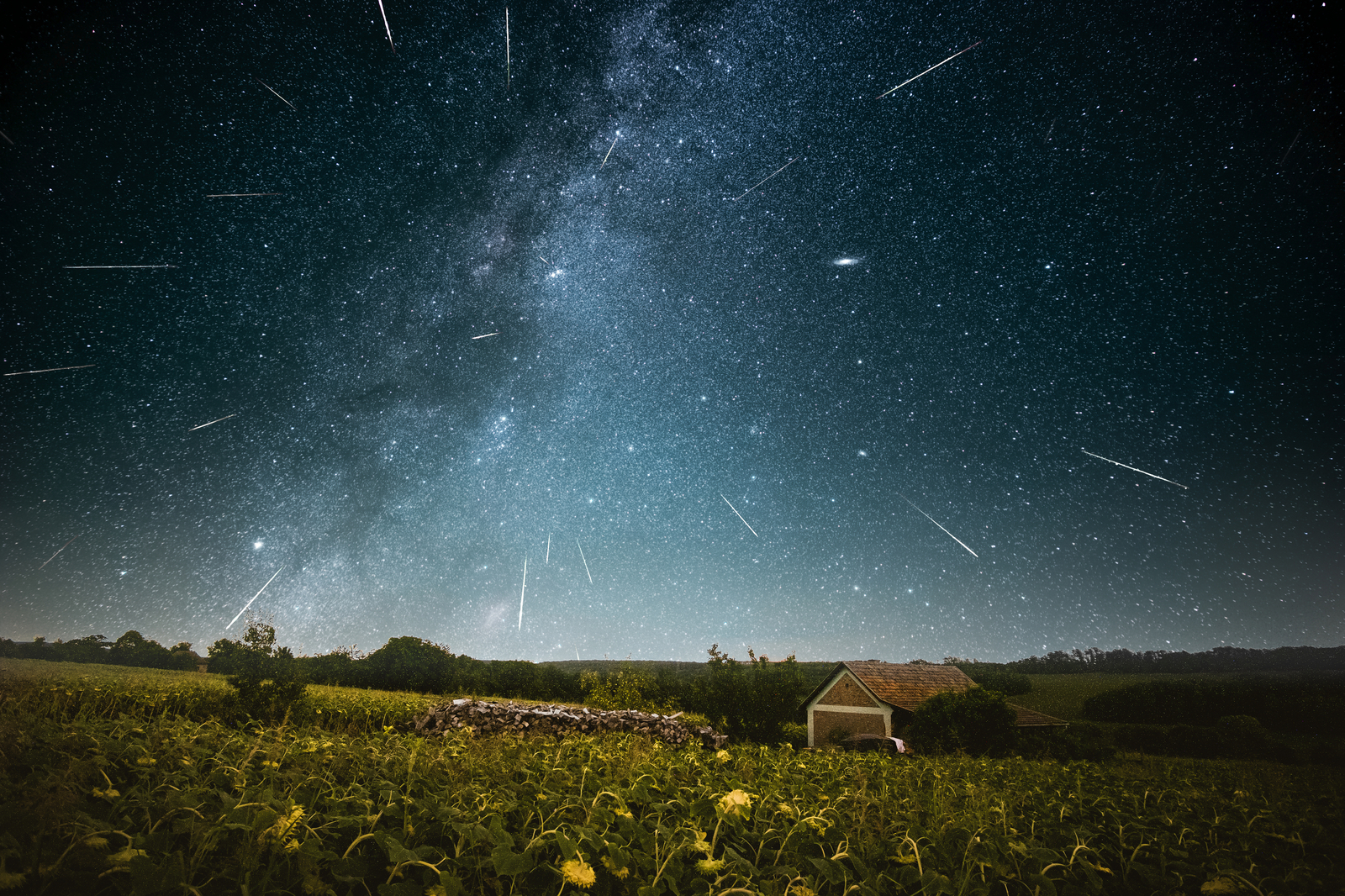 Three Perseid Nights