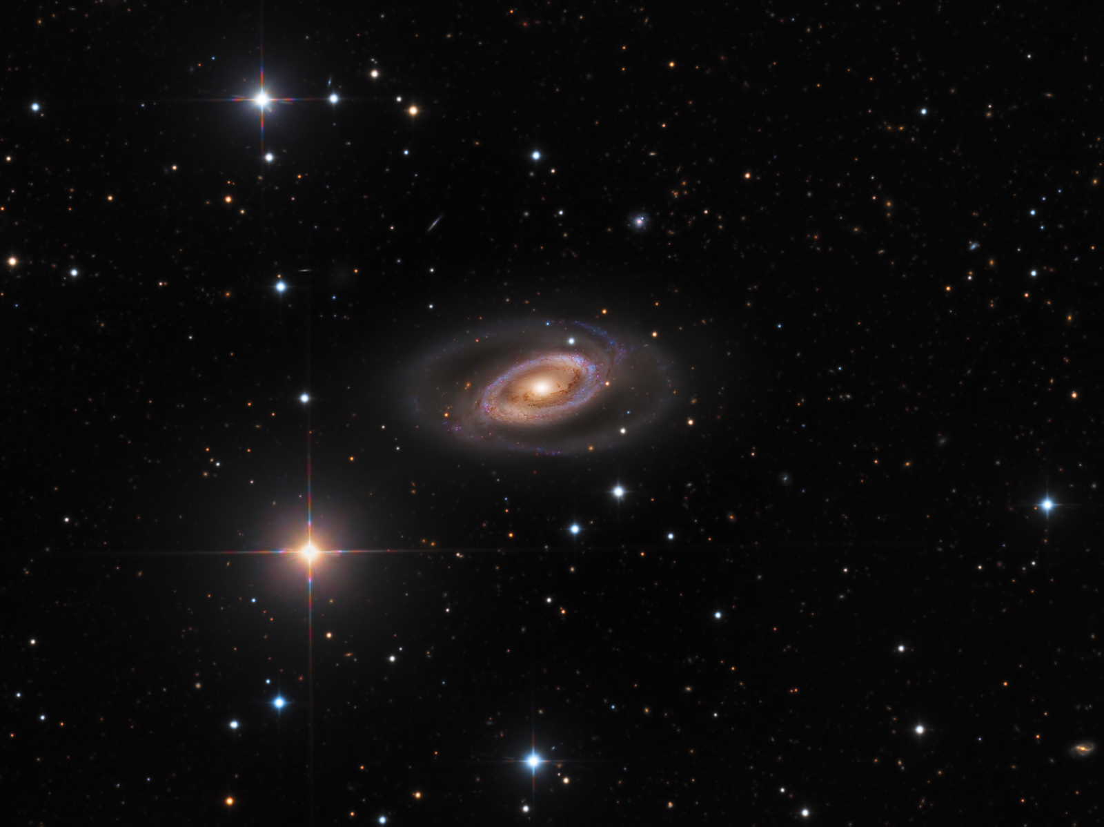 Spiral Galaxy NGC 1350