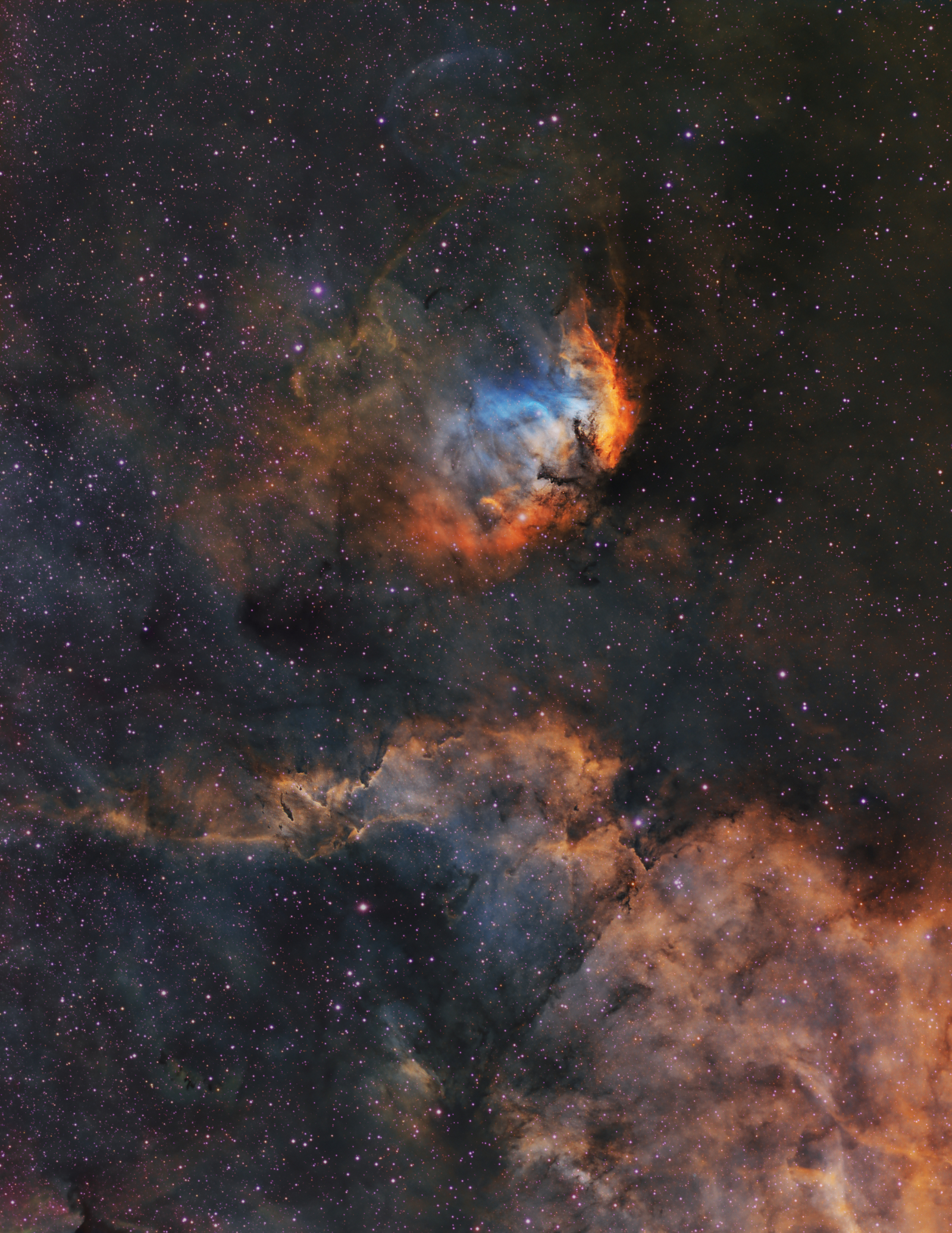 The Tulip and Cygnus X-1