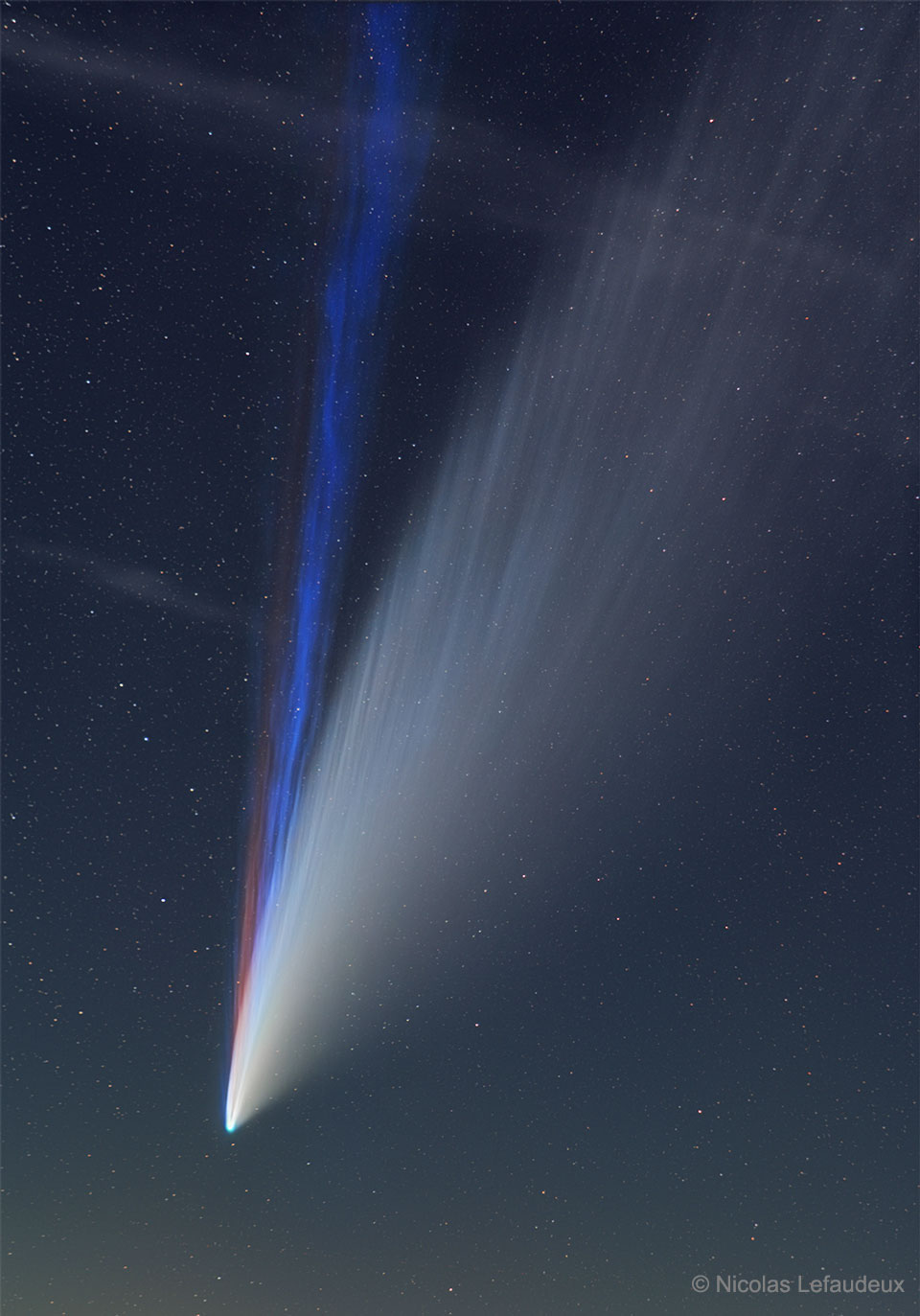 Three Tails of Comet NEOWISE