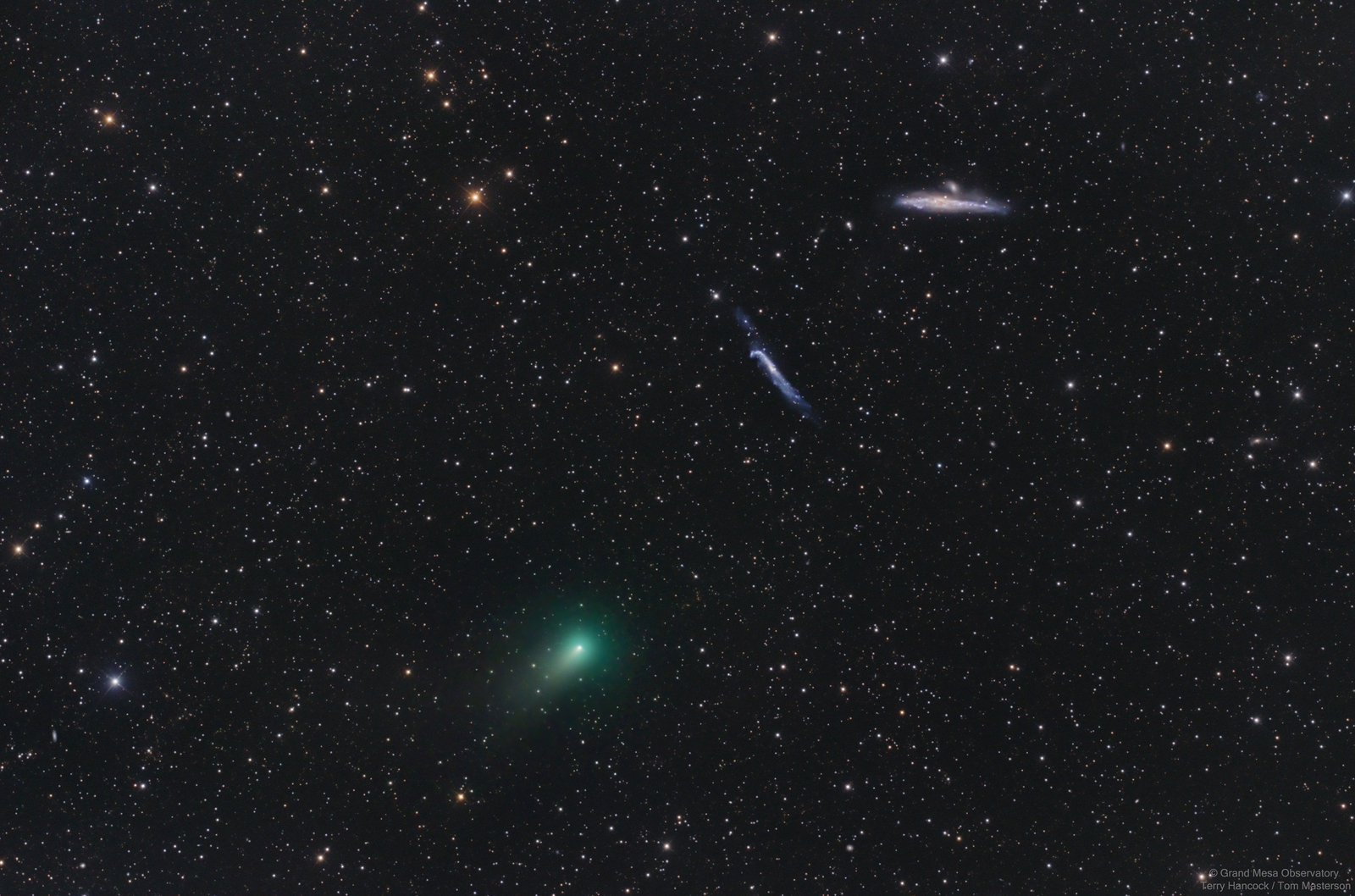 The Comet, the Whale, and the Hockey Stick