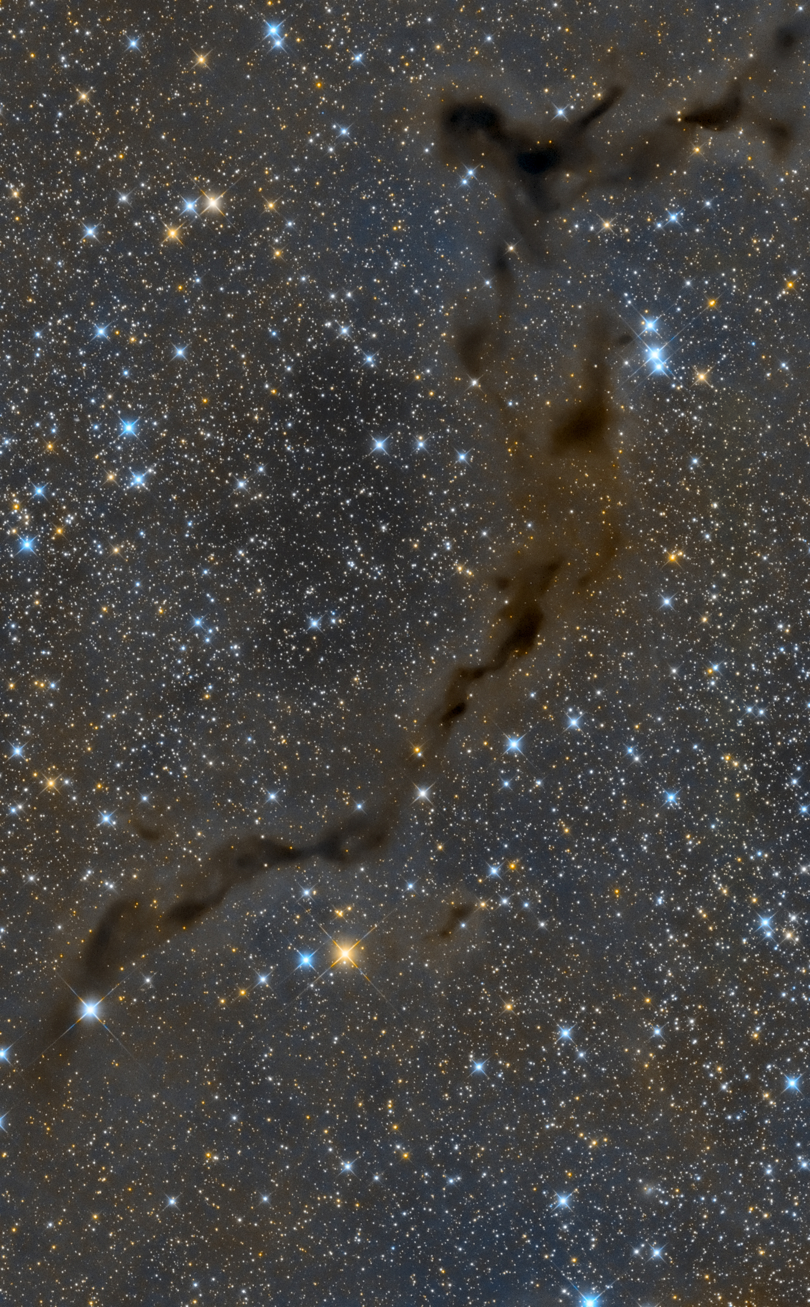 The Dark Seahorse in Cepheus
