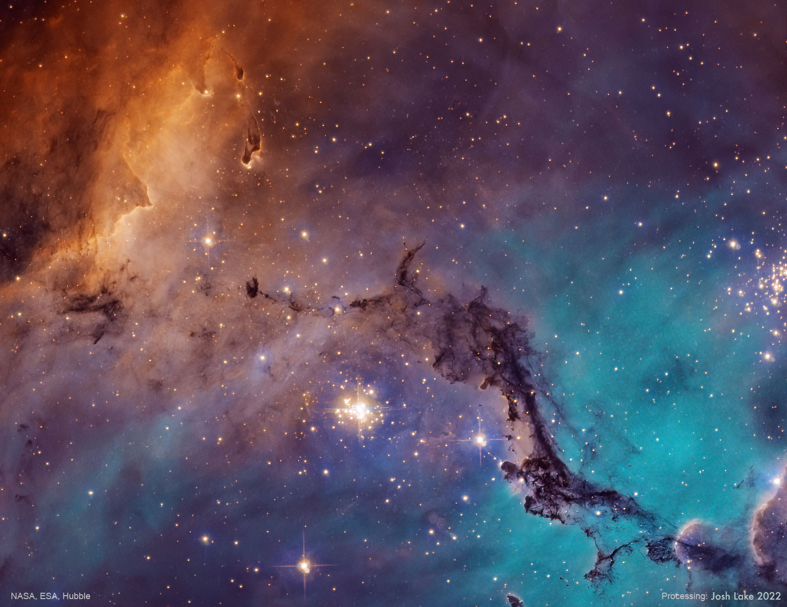 N11: Star Clouds of the LMC