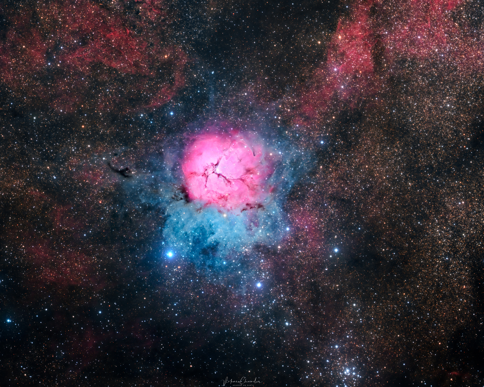 A Beautiful Trifid