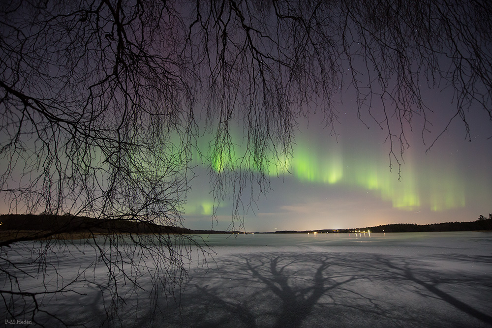 Aurora by Moonlight