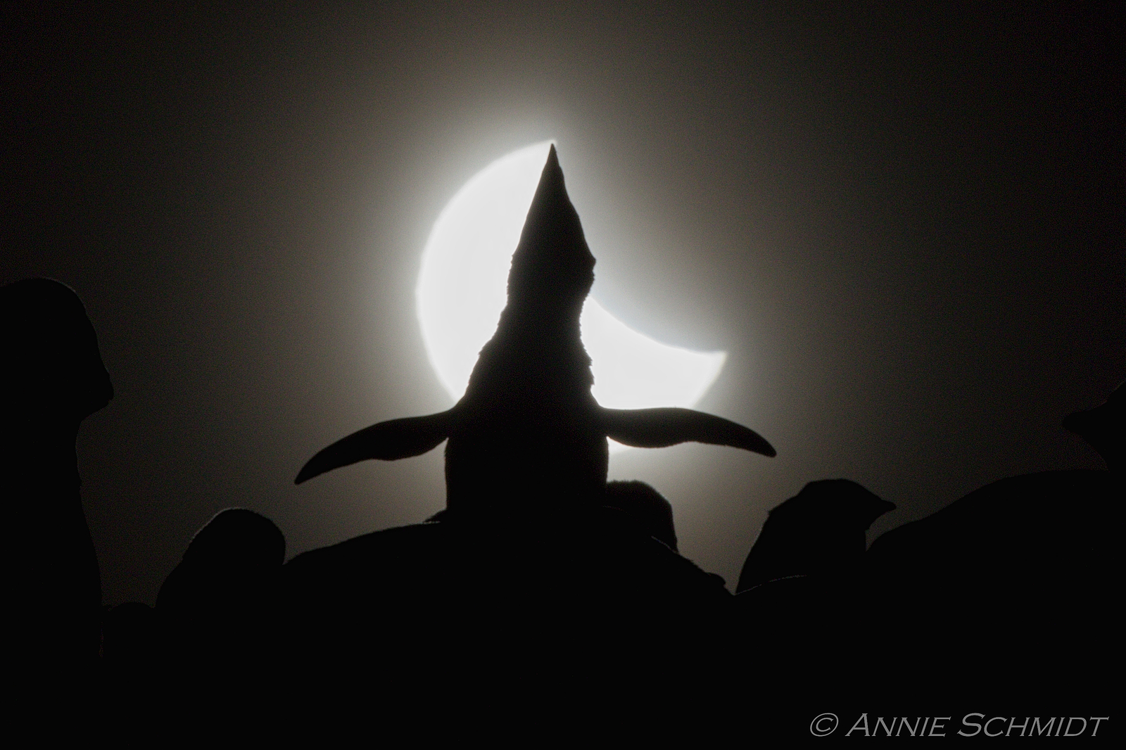 Ecstatic Solar Eclipse