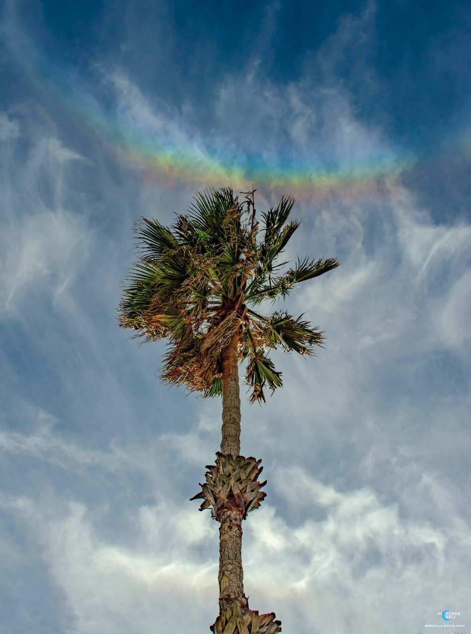 When Rainbows Smile