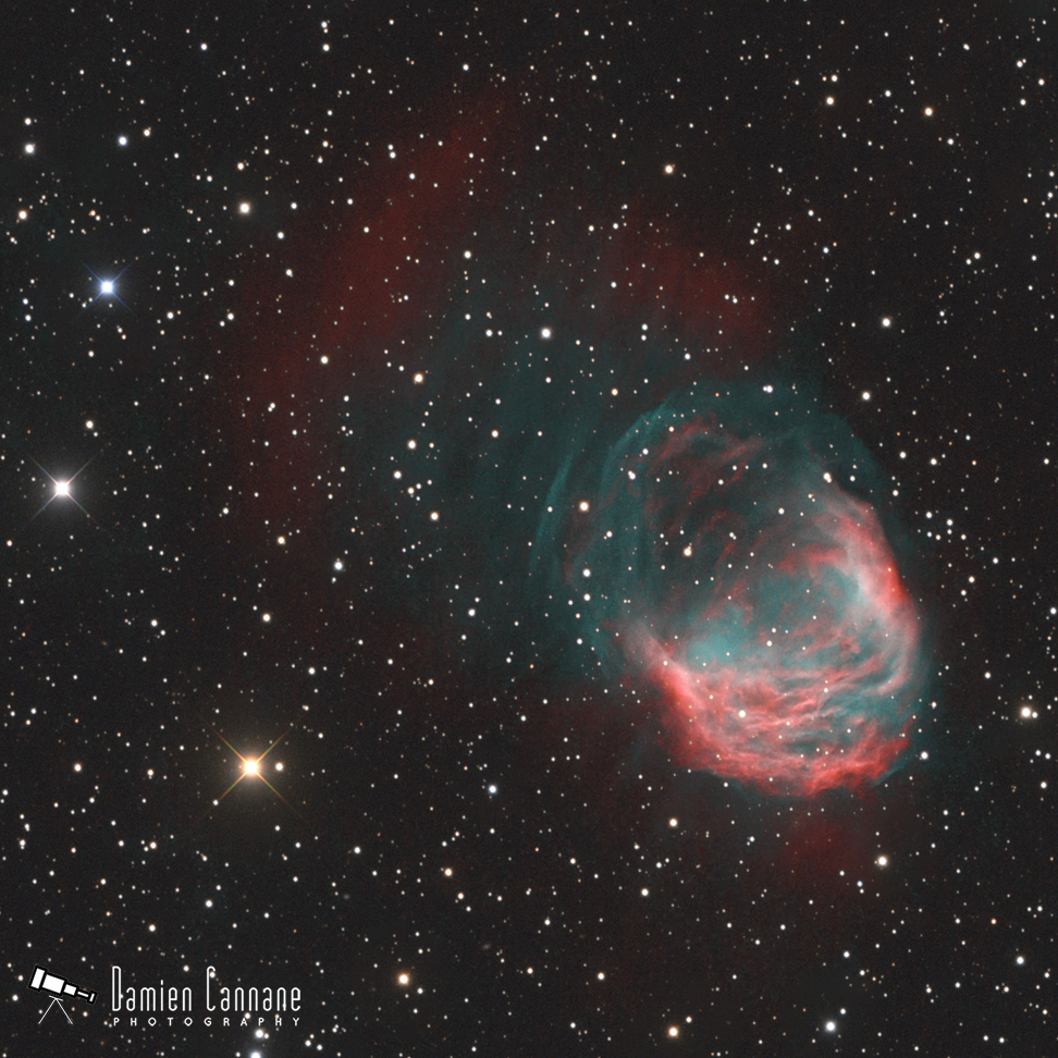 The Medusa Nebula