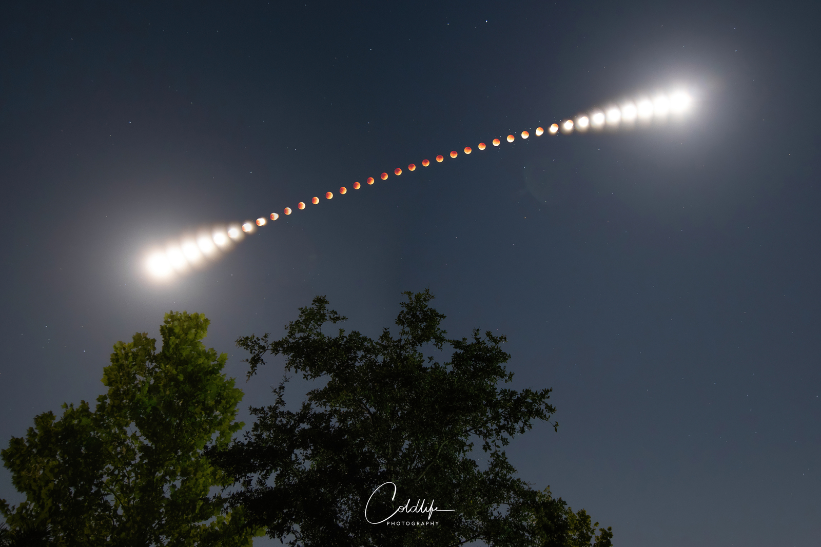A Digital Lunar Eclipse