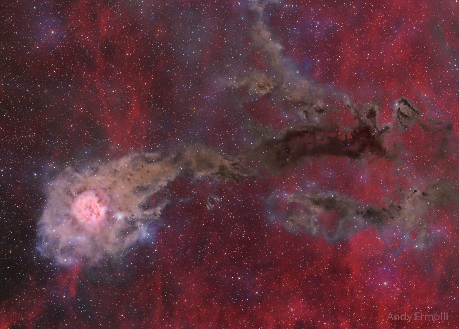 Cocoon Nebula Wide Field