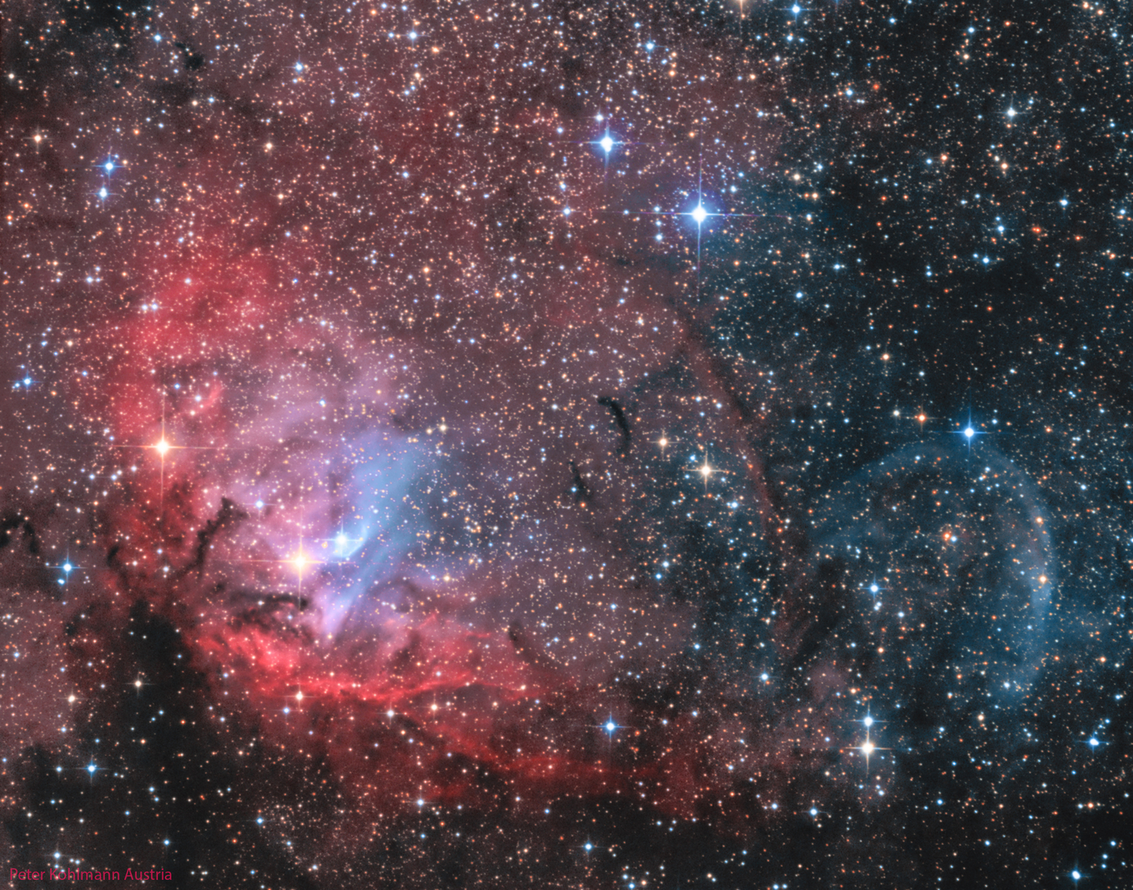 The Tulip and Cygnus X-1