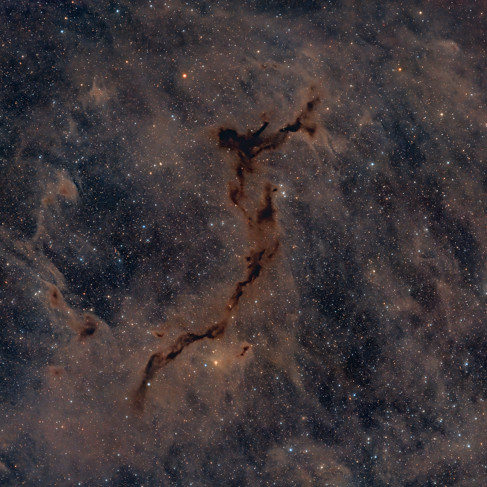 The Dark Seahorse in Cepheus