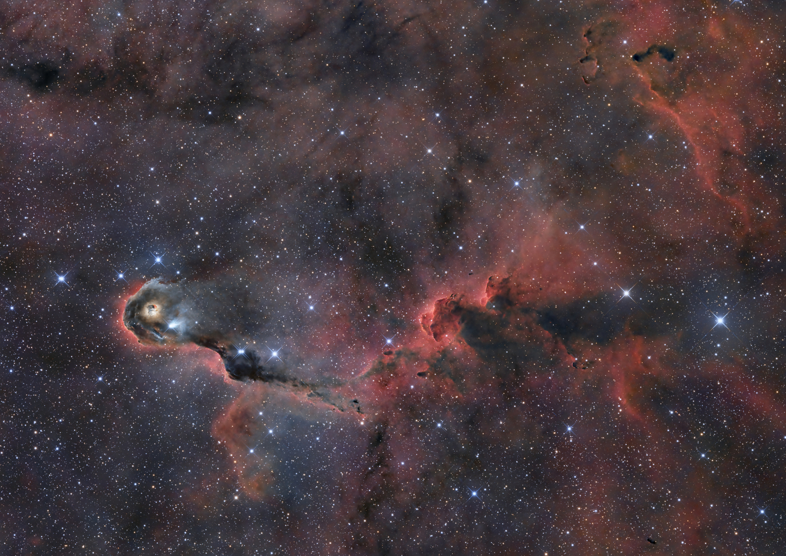 The Elephant's Trunk in Cepheus