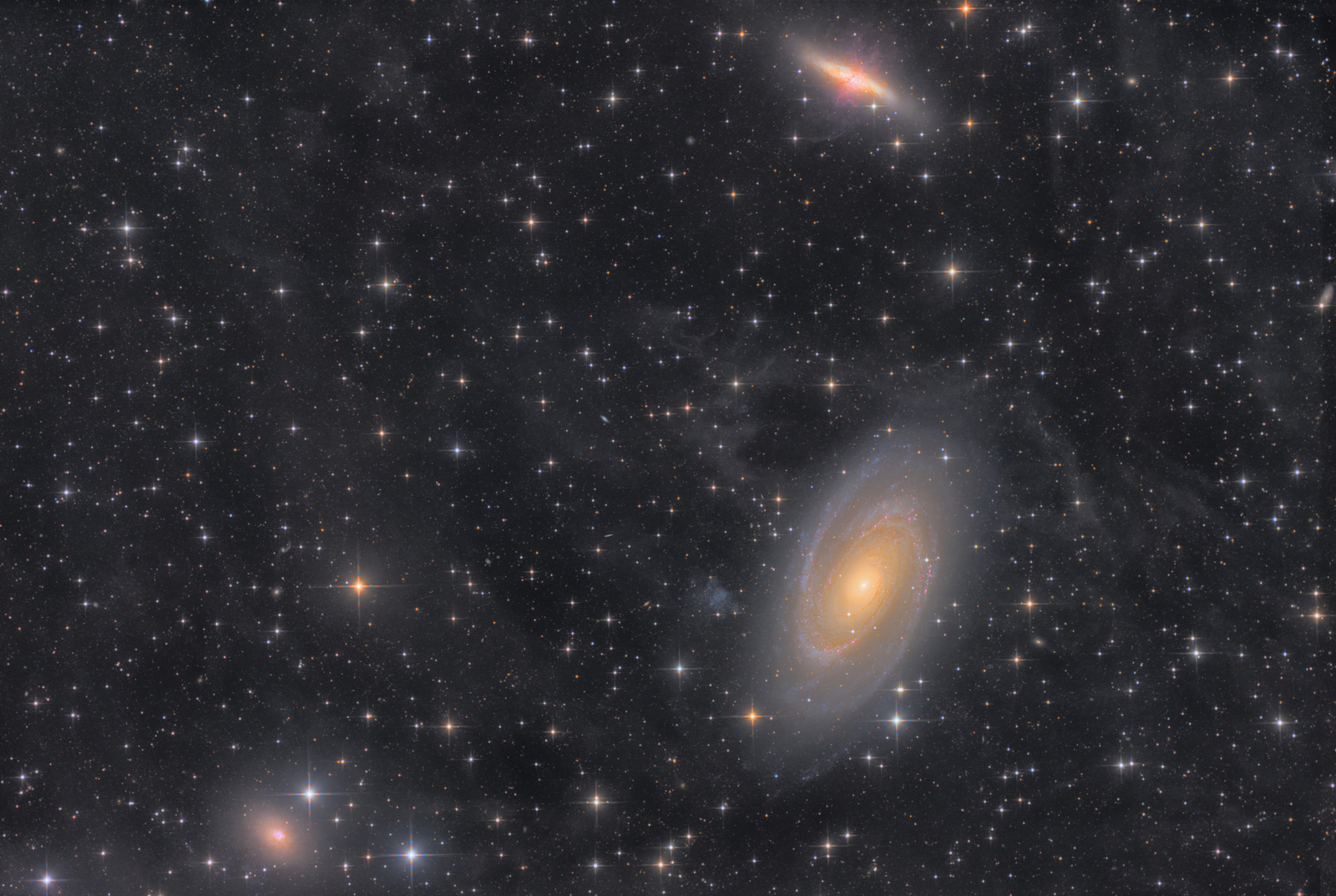 38 Hours with the M81 Group
