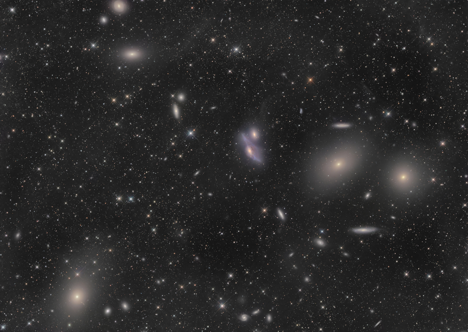 Virgo Cluster Galaxies