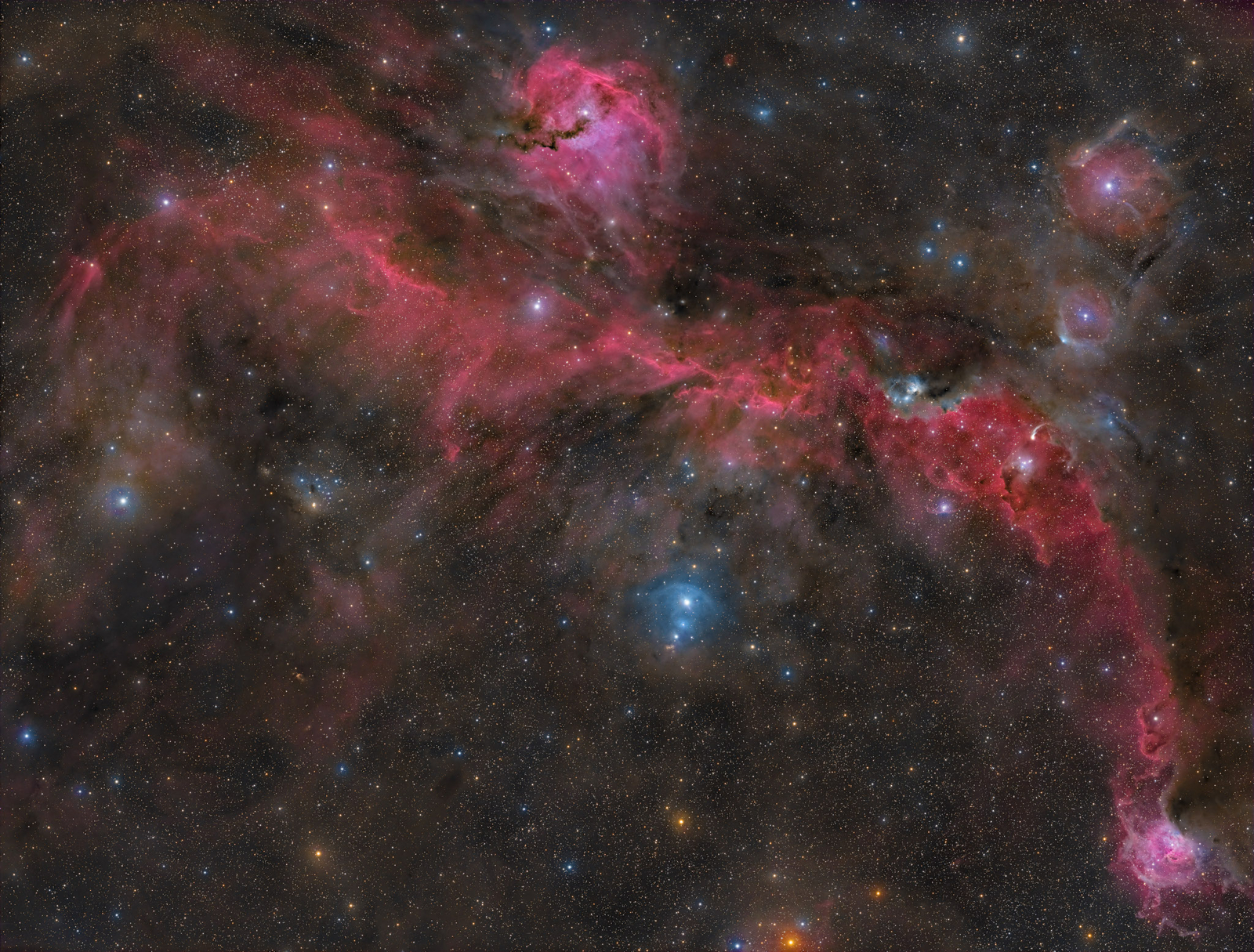 The Seagull Nebula