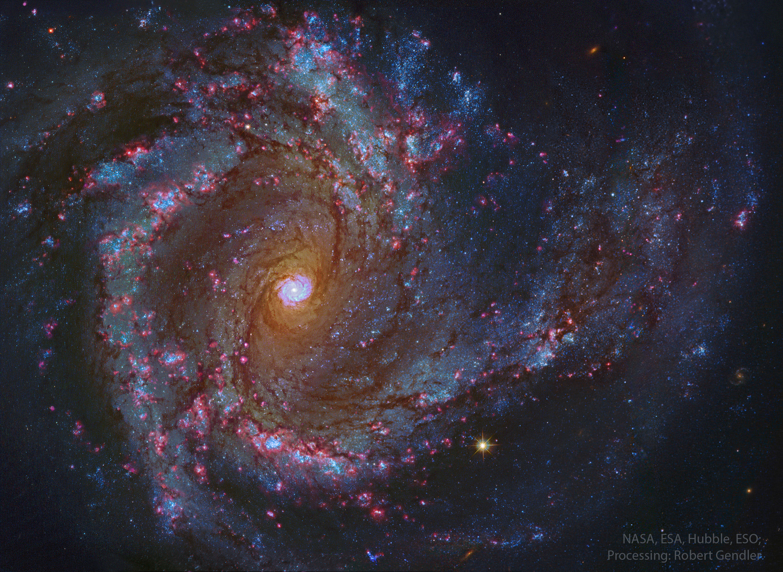 In the Center of Spiral Galaxy M61