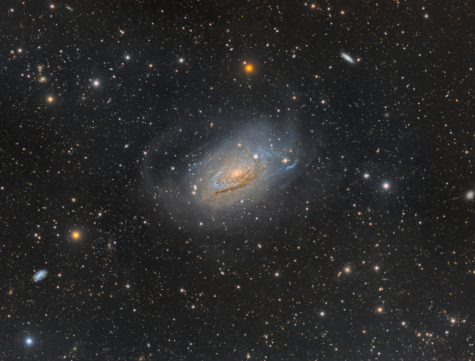 Curly Spiral Galaxy M63