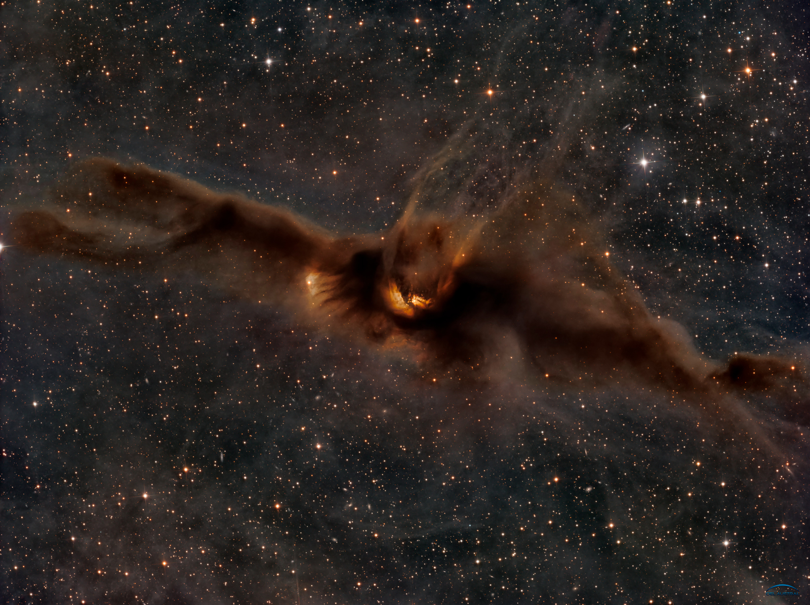 Lynds Dark Nebula 43