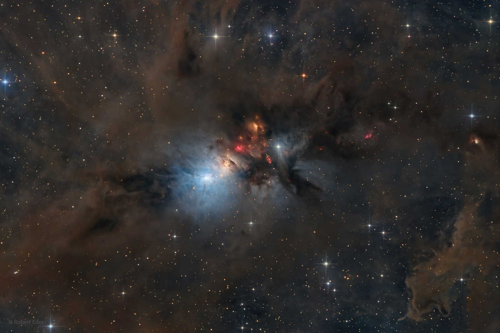 NGC 1333: Stellar Nursery in Perseus