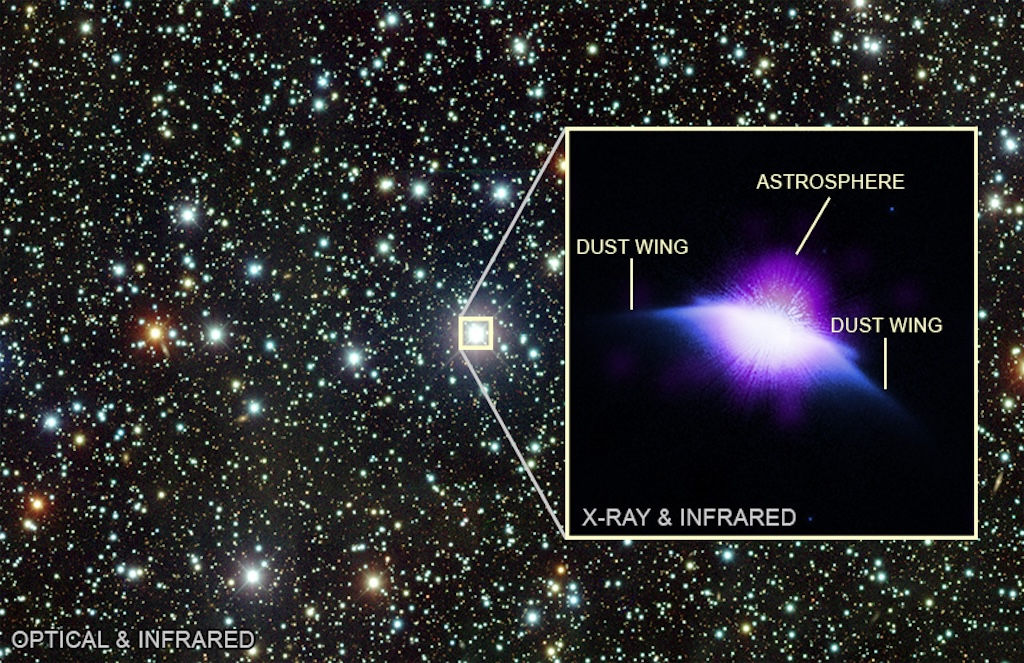 The Astrosphere of HD 61005