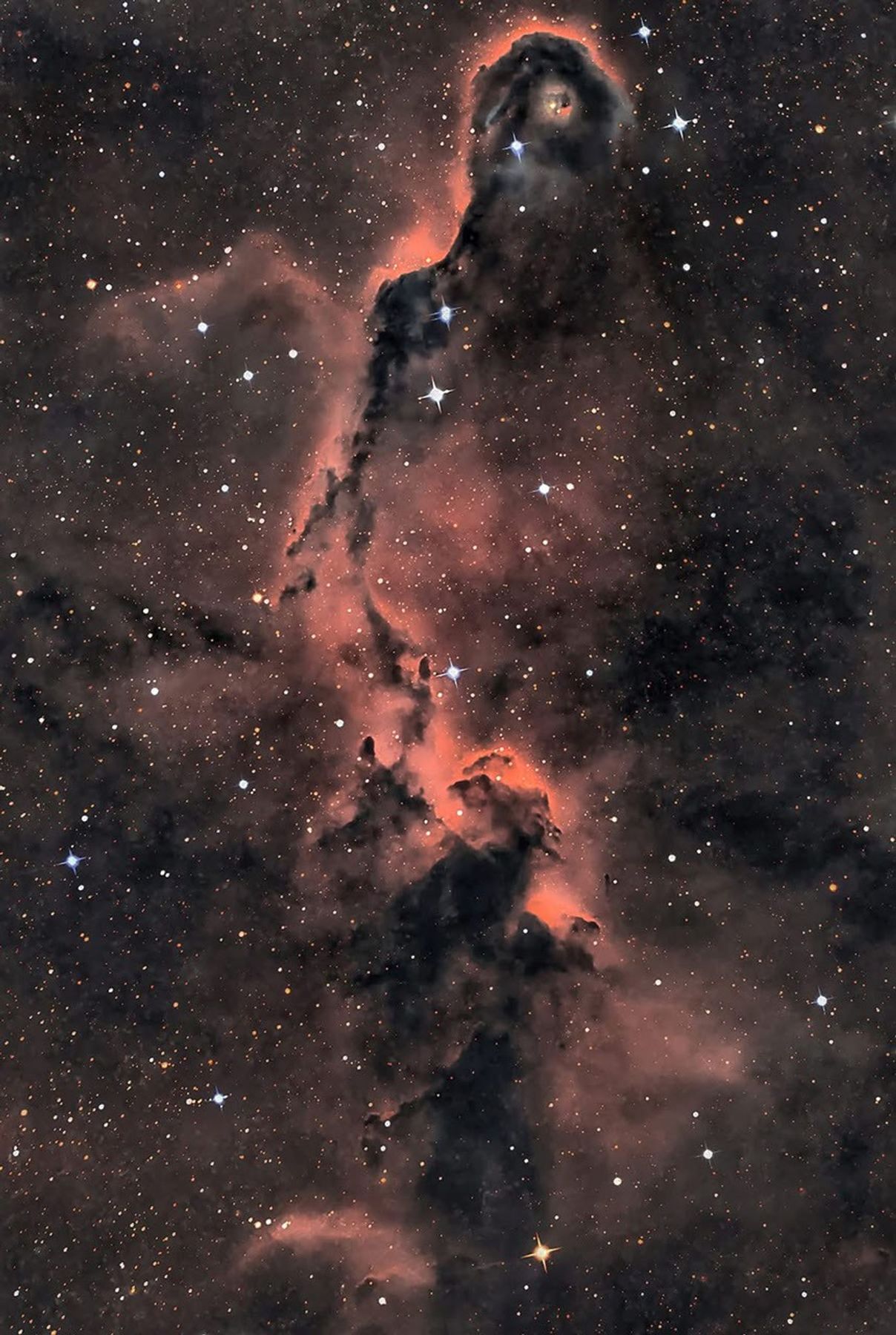 The Elephant's Trunk in Cepheus