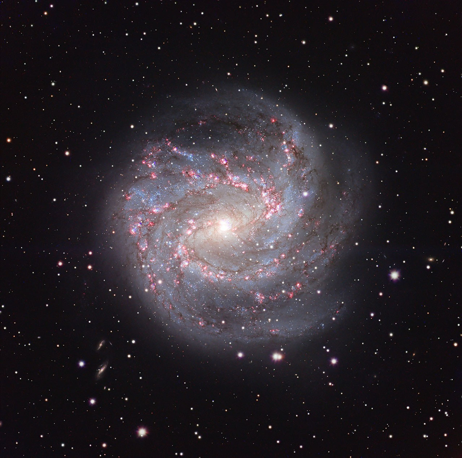 M83: The Southern Pinwheel