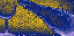 Preview of Vintage Gamma-Rays