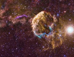 Preview of Sibling Supernova Remnants