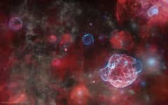 Preview of The Ghosts of Five Supernovas