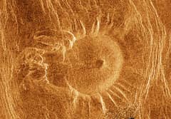 Preview of A Venusian Tick