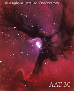 Preview of Hot Stars in the Trifid Nebula