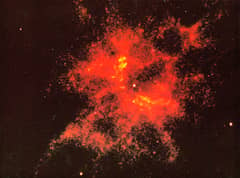 Preview of NGC 2440 Nucleus: The Hottest Star?