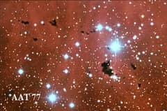 Preview of Dark Bok Globules in IC 2944